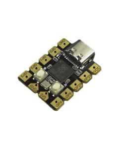 DFROBOT DFR0959 - Placă de dezvoltare Mini Beetle RP2040